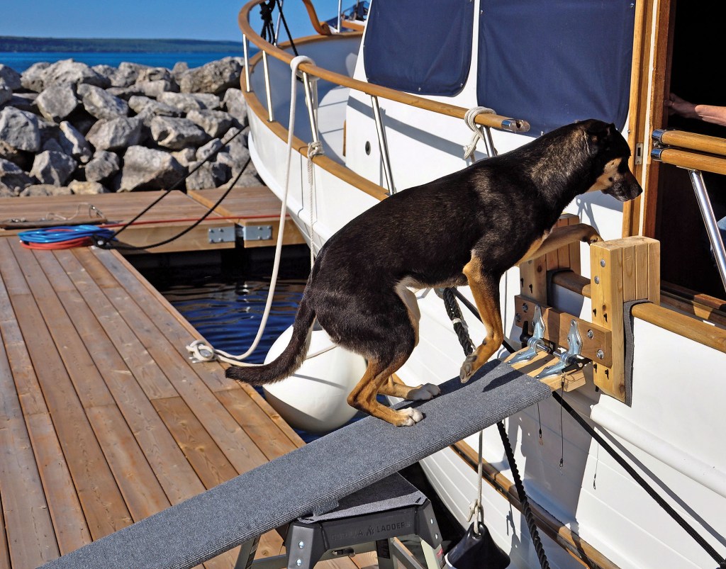 A black and tan dog climbs up a custom, grey-carpeted wooden ramp supported by a step stool, leading from a wooden dock to the side boarding gate of a white trawler yacht.