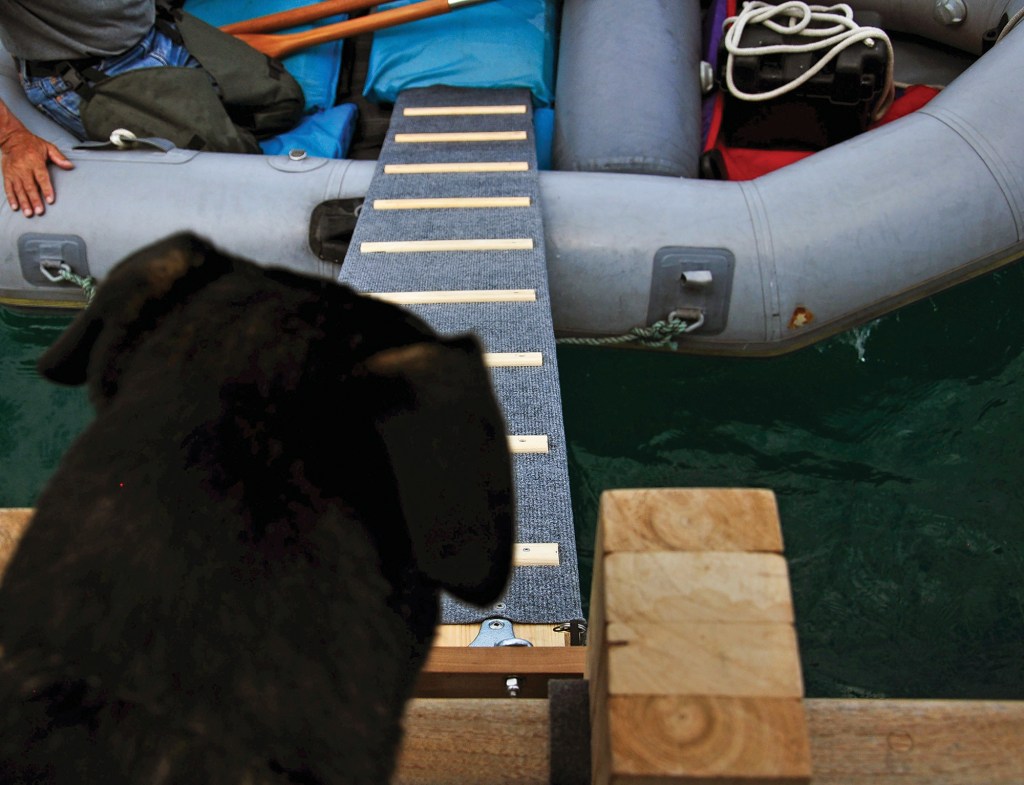 A high-angle, point-of-view shot over the back of a black dog’s head, looking down a custom-built, carpeted ramp with wooden steps that stretches from a boat’s gunwale to an inflatable dinghy where a person is seated.