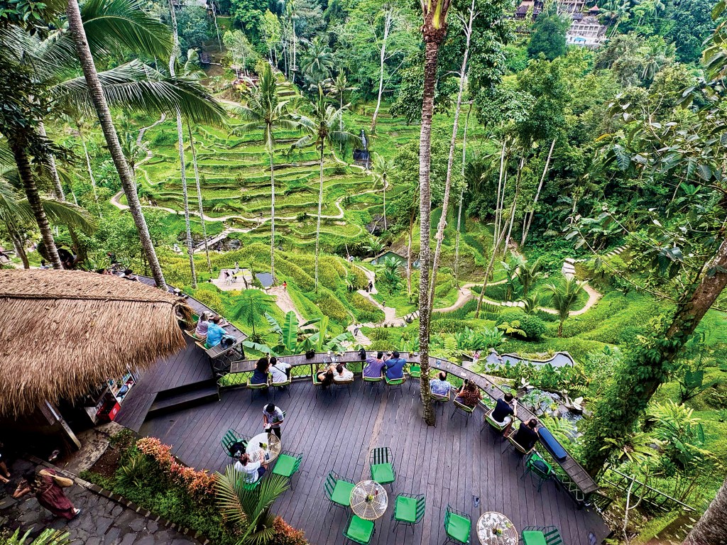 An aerial view looking down onto a wooden cafe terrace filled with outdoor seating, surrounded by tall palm trees and overlooking lush, green terraced rice fields in Ubud, Bali.