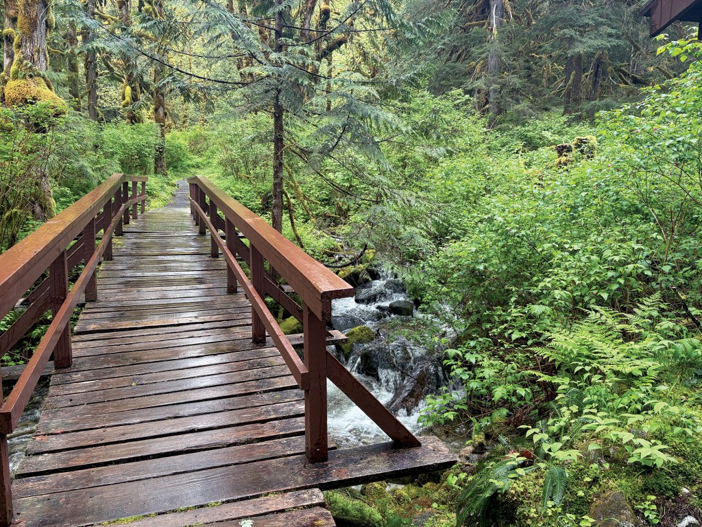 A wet wooden footbridge with reddish-brown railings spanning over a rushing mountain creek, surrounded by lush green ferns, moss-covered trees, and dense coastal rainforest foliage near Princess Louisa Inlet.