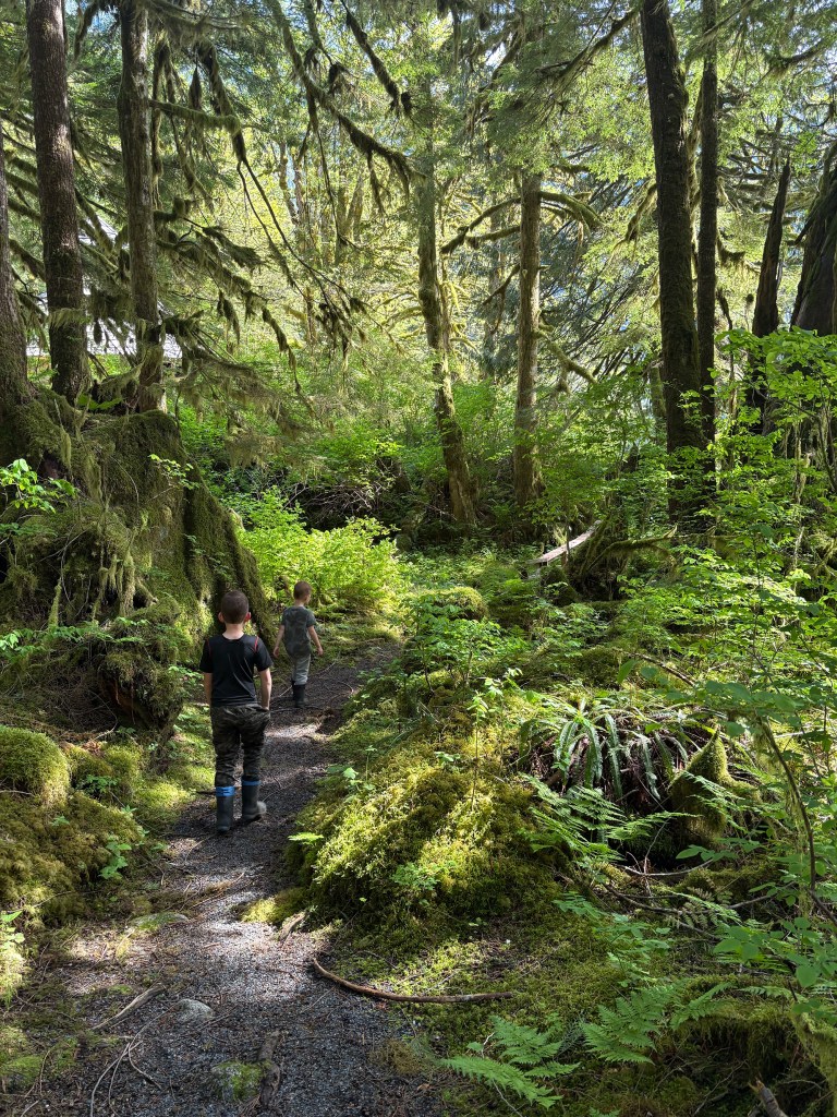 Two young boys walking along a dirt trail through a lush, old-growth Pacific Northwest rainforest, surrounded by moss-covered trees, ferns, and dense undergrowth bathed in sunlight.