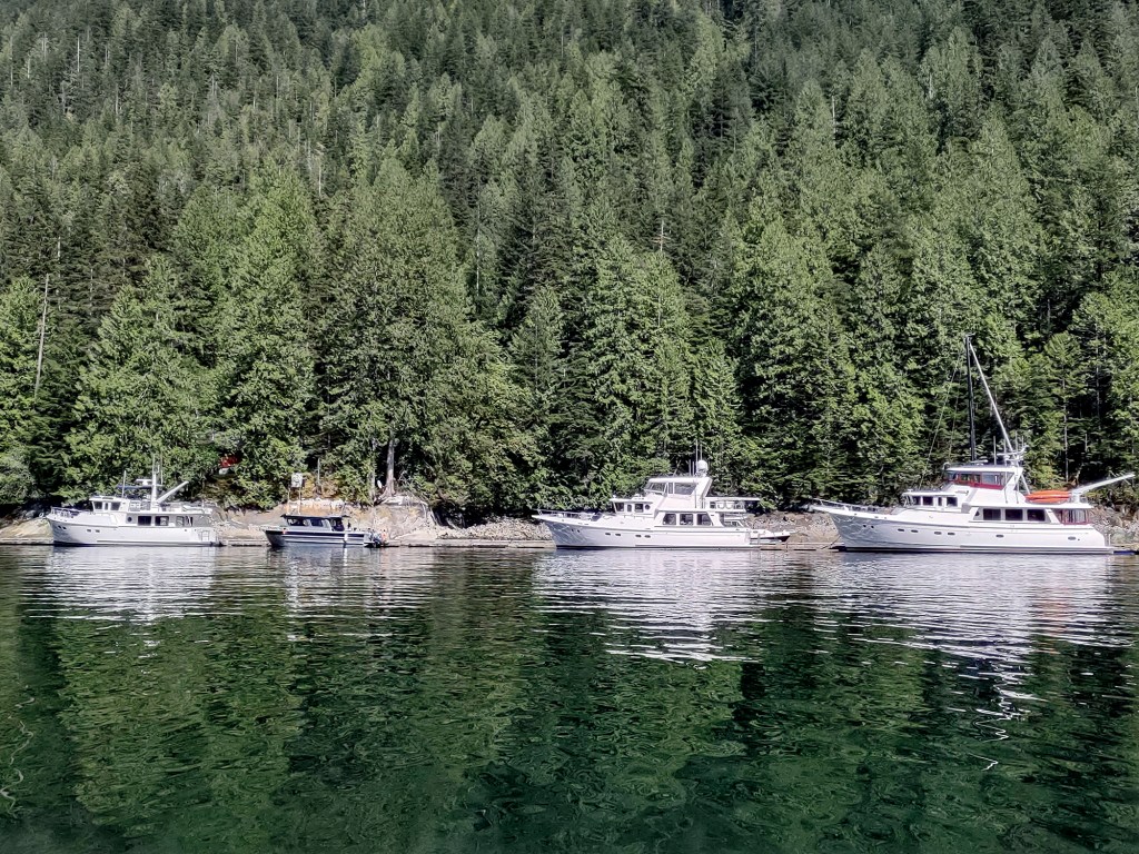 Four motor yachts lined up at anchor or along a dock against a dense, evergreen-forested shoreline rising steeply in the background in Princess Louisa Inlet.