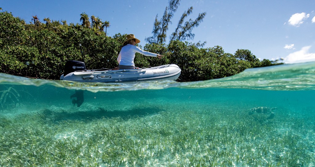 Split water-surface photograph showing Tenley van der Wal in an inflatable dinghy above a sea turtle swimming over shallow seagrass beds.