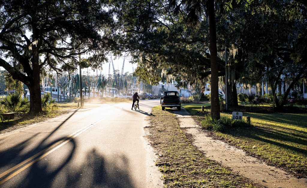 Sunlit coastal road lined with live oak trees and Spanish moss, featuring a cyclist and vintage truck near a marina dock.