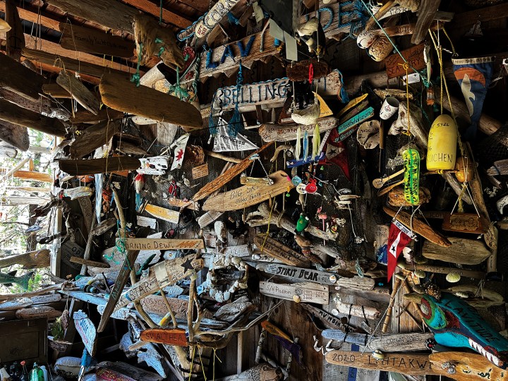 Interior view of the historic cabin in Octopus Islands Marine Park filled with wooden boat signs and nautical memorabilia left by visiting cruisers.