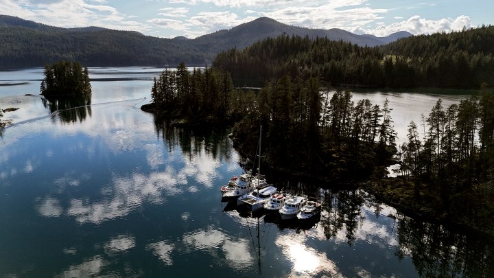 Aerial view of a boat flotilla rafted together in a calm cove within Octopus Islands Marine Park surrounded by pine forests.