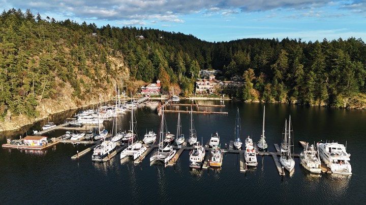 Aerial view of Poet's Cove Resort & Spa marina filled with docked yachts and powerboats on South Pender Island.